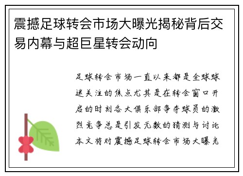 震撼足球转会市场大曝光揭秘背后交易内幕与超巨星转会动向 震撼足球转会市场大曝光揭秘背后交易内幕与超巨星转会动向